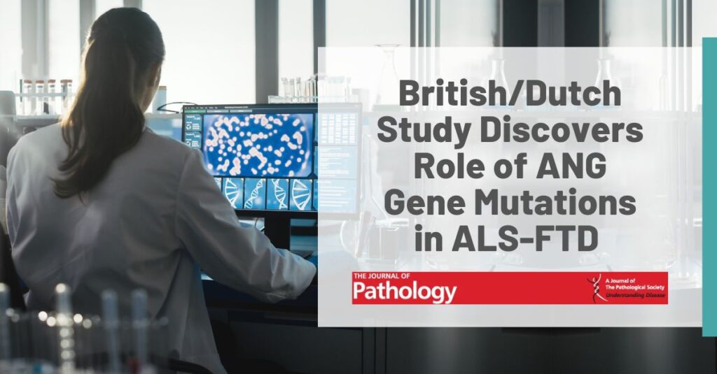 Graphic: British/Dutch Study Discovers Role of ANG Gene Mutations in ALS-FTD