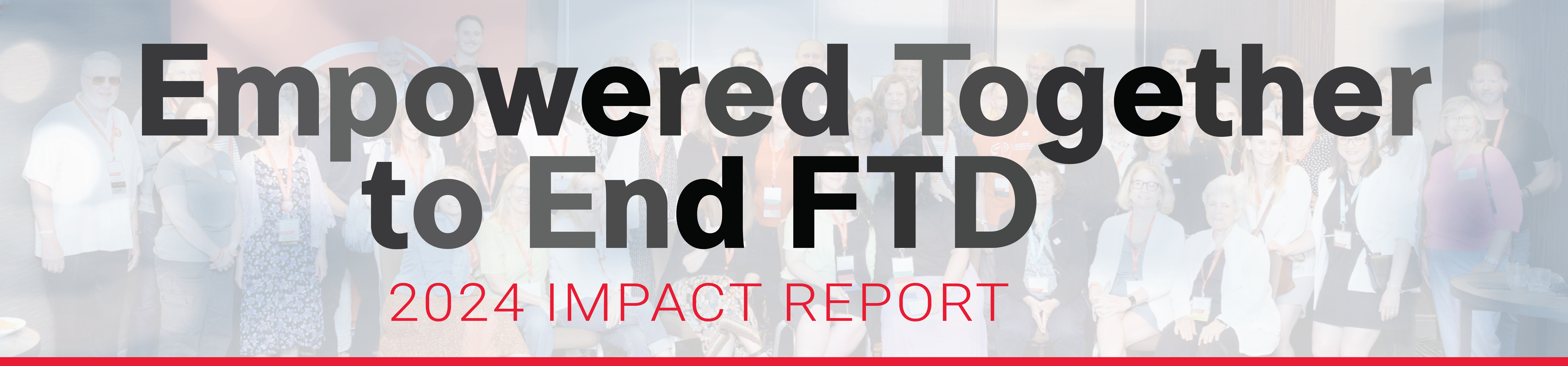 Impact Report Web Header 2024